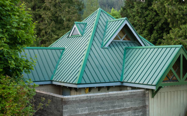 Best Steel Roofing  in Lake Leann, MI