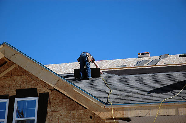 Best Rubber Roofing (EPDM, TPO)  in Lake Leann, MI