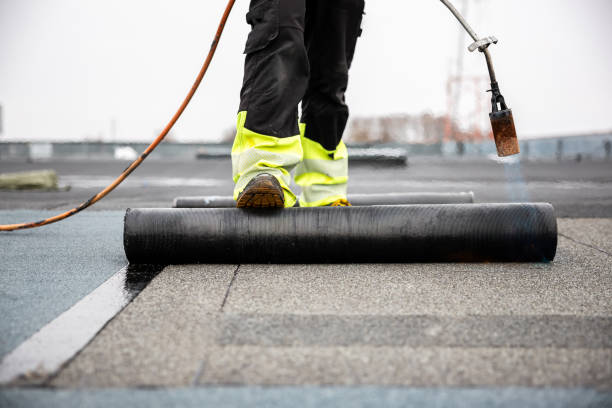Best Roof Coating and Sealing  in Lake Leann, MI